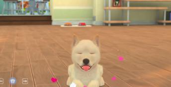 My Universe – Puppies & Kittens