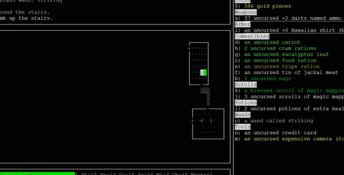 Nethack
