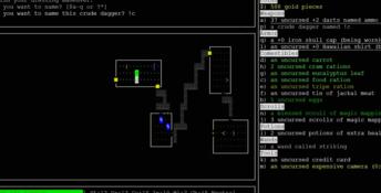 Nethack PC Screenshot