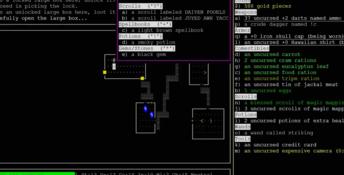 Nethack PC Screenshot
