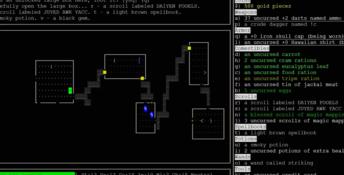 Nethack PC Screenshot