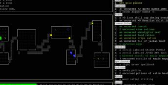Nethack PC Screenshot