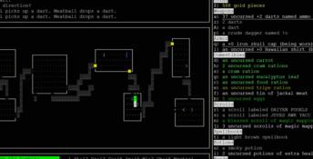 Nethack PC Screenshot
