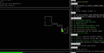 Nethack PC Screenshot