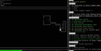 Nethack PC Screenshot