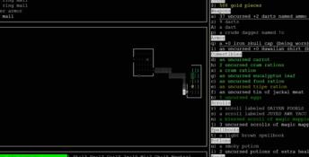 Nethack PC Screenshot