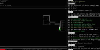 Nethack PC Screenshot