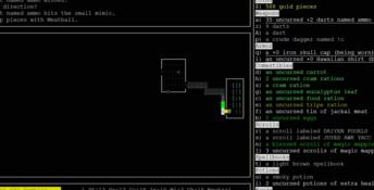Nethack PC Screenshot