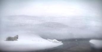 Never Alone: Arctic Collection PC Screenshot