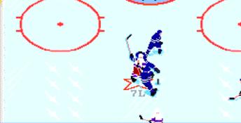 NHL Hockey PC Screenshot