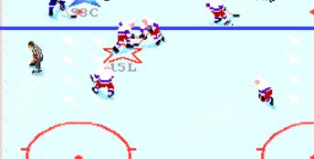 NHL Hockey PC Screenshot