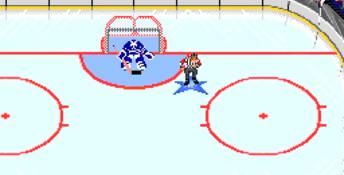 NHL Hockey PC Screenshot