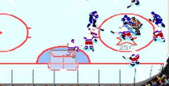 NHL Hockey