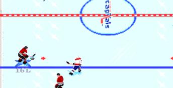 NHL Hockey PC Screenshot