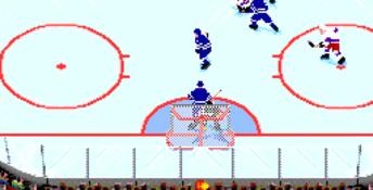 NHL Hockey PC Screenshot