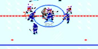 NHL Hockey
