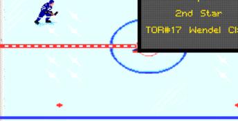 NHL Hockey PC Screenshot