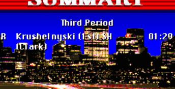 NHL Hockey PC Screenshot