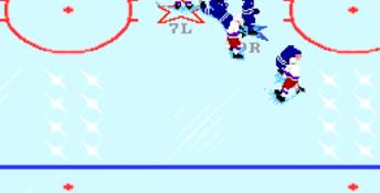 NHL Hockey 92 PC Screenshot