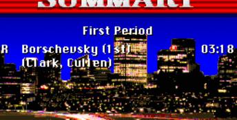 NHL Hockey 92 PC Screenshot