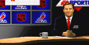 NHL Hockey '95 PC Screenshot