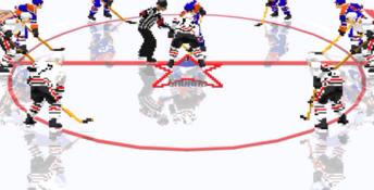 NHL Hockey 96 PC Screenshot