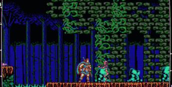 Odallus: The Dark Call PC Screenshot