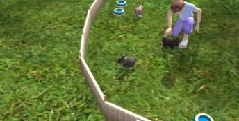 Paws & Claws Pet Resort PC Screenshot