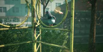 Pigeon Hater