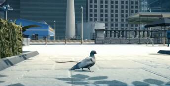 Pigeon Simulator