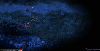 Pillars Of Eternity PC Screenshot