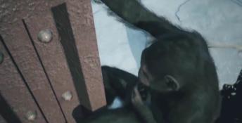 Planet Of The Apes: Last Frontier