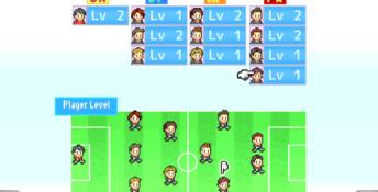 Pocket League Story