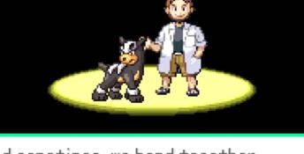 Pokemon Randomizer Nuzlocke PC Screenshot
