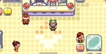 Pokemon Randomizer Nuzlocke PC Screenshot