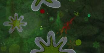 Pond Scum