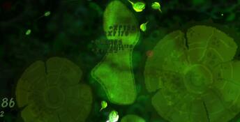 Pond Scum
