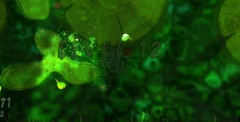 Pond Scum PC Screenshot