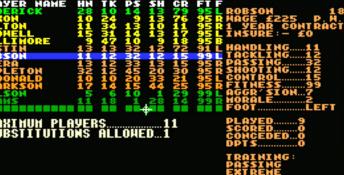 Premier Manager 2 PC Screenshot