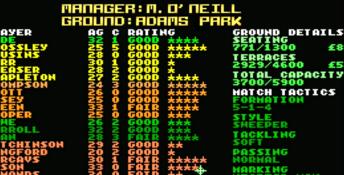 Premier Manager 2 PC Screenshot