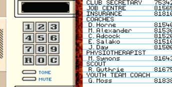 Premier Manager 2 PC Screenshot