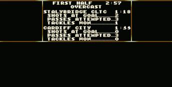 Premier Manager 2 PC Screenshot