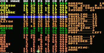 Premier Manager 2 PC Screenshot