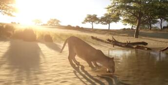 Primal Earth