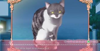Princess Evangile PC Screenshot