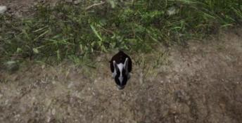 Rabbit Meadow PC Screenshot