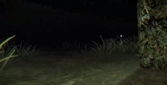 Rabbit Riot PC Screenshot