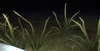 Rabbit Riot PC Screenshot