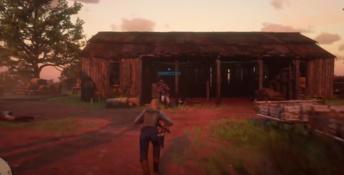 Red Dead Online PC Screenshot