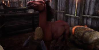 Red Dead Online PC Screenshot